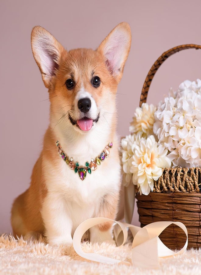 HOWWFALY Dog Collar and Cat Collar Gold Chain Necklace Stainless Steel Adjustable Yellow Diamonds Collar with Cute Pet Paw for Small Medium Pets Cats Dogs Kitten Puppy - Image 5