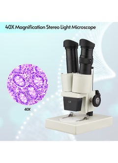 Generic 40X Magnification Stereo Light Microscope Compound Binocular Microscope for Home School Laboratory Biological Education Machine Parts Texting Students Kids Adults  - Image 3
