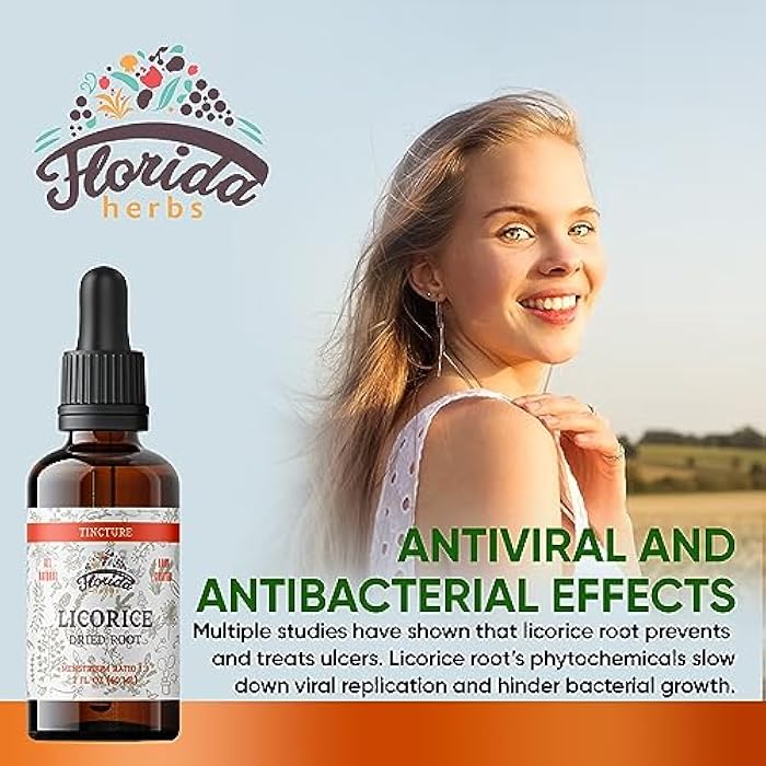 FLORIDA HERBS Licorice Tincture, Organic Licorice Extract (Glycyrrhiza Glabra) Dried Root, Herbal Supplement, Non-GMO in Cold-Pressed Organic Vegetable Glycerin 2 oz, 670 mg - Image 2