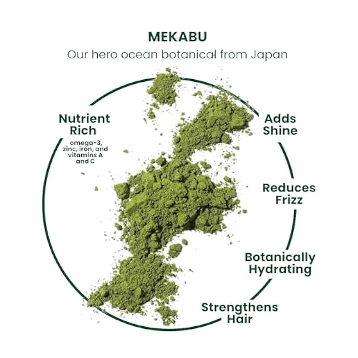 MASAMI Mekabu Hydrating Shampoo 10 oz: Sulfate Free, Paraben Free, Phthalate Free | Vegan | Color Safe | Salon Quality | All Hair Types & Textures | Curl Defining | Jbeauty | No Frizz - Image 3