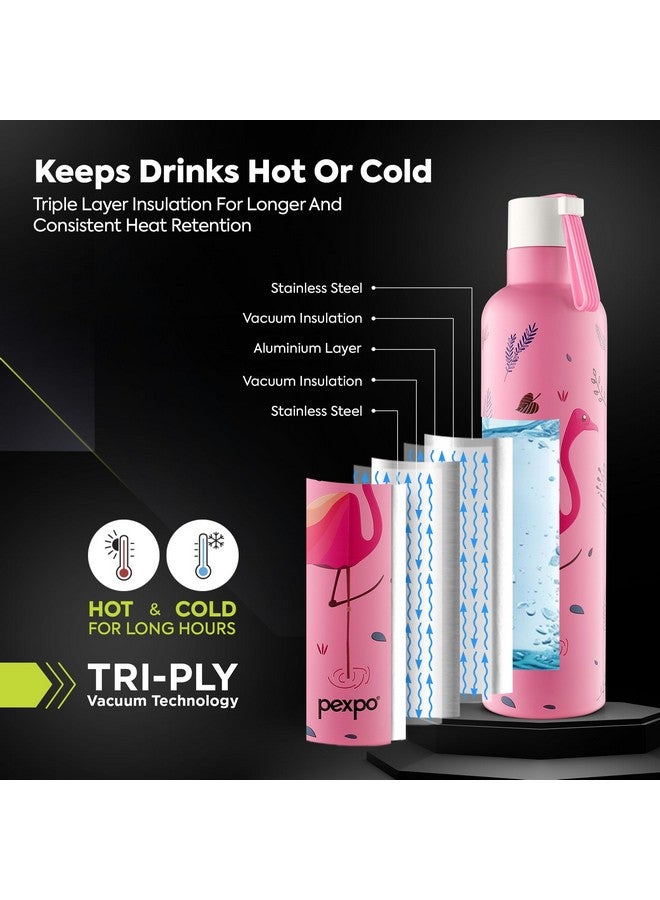PEXPO,Oslo ISI Certified Stainless Steel Water Bottle 750ml Hot & Cold Thermos Water Bottle | Insulated Water Bottle | with Printed Design | Gift for Girls & Boys | Office | Home | Gym - Pink - Image 3
