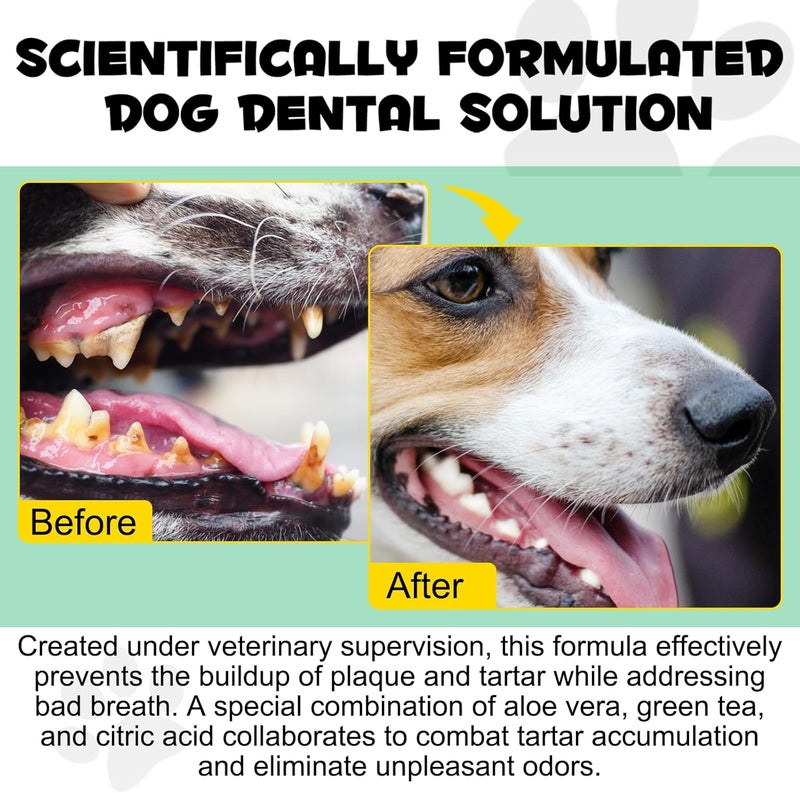 Oimmal Dental Fresh Water Additive for Dogs, Dog Breath Freshener Water Additive for Pet Dental Care, Dental Water Additive for Dogs, Teeth, Breath & Healthy Gums, Oral Care Cleaner Reduces Tartar - Image 5
