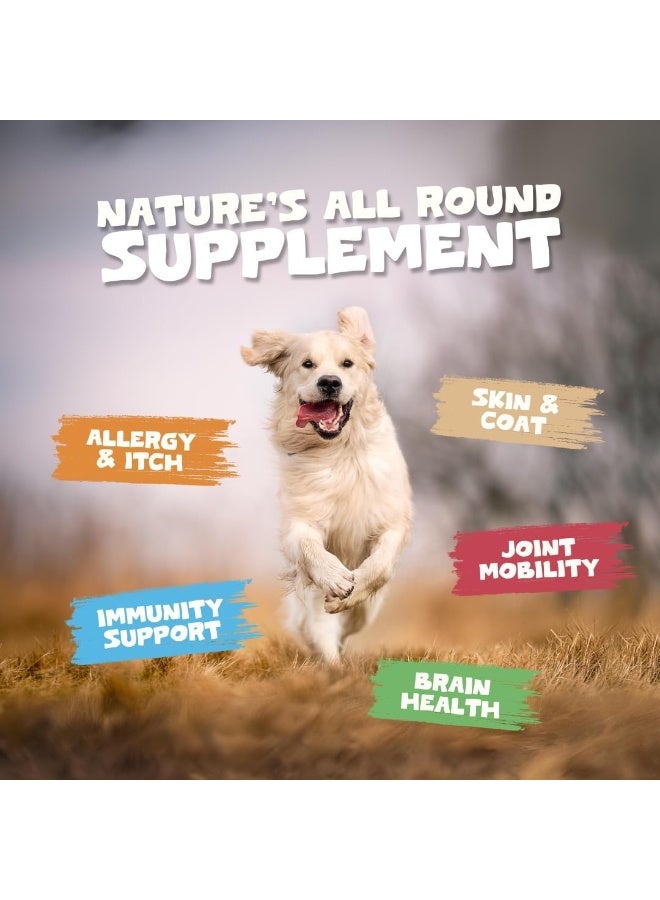 Pets Purest Scottish Salmon Oil For Dogs, Cats, Horse, Ferret & Pet - Pure Omega 3, 6 & 9 Fish Oil Food Treats Supplement for Natural Coat, Immune Support, Itchy Skin, Joint & Brain Health (300ml) - Image 5