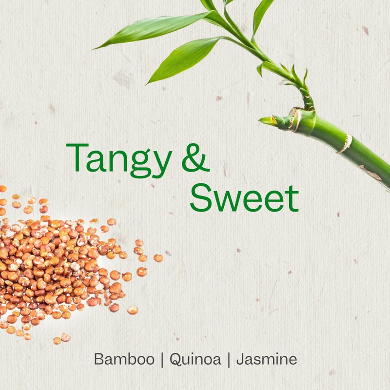Renpure Bamboo & Quinoa Shampoo, Plant-Based â€“ Restores, Hydrates & Strengthens For Healthier Hair â€“ For Weak, Dull & Damaged Hair - Bamboo Extract & Quinoa Protein â€“ 24 Fl Oz - Image 3
