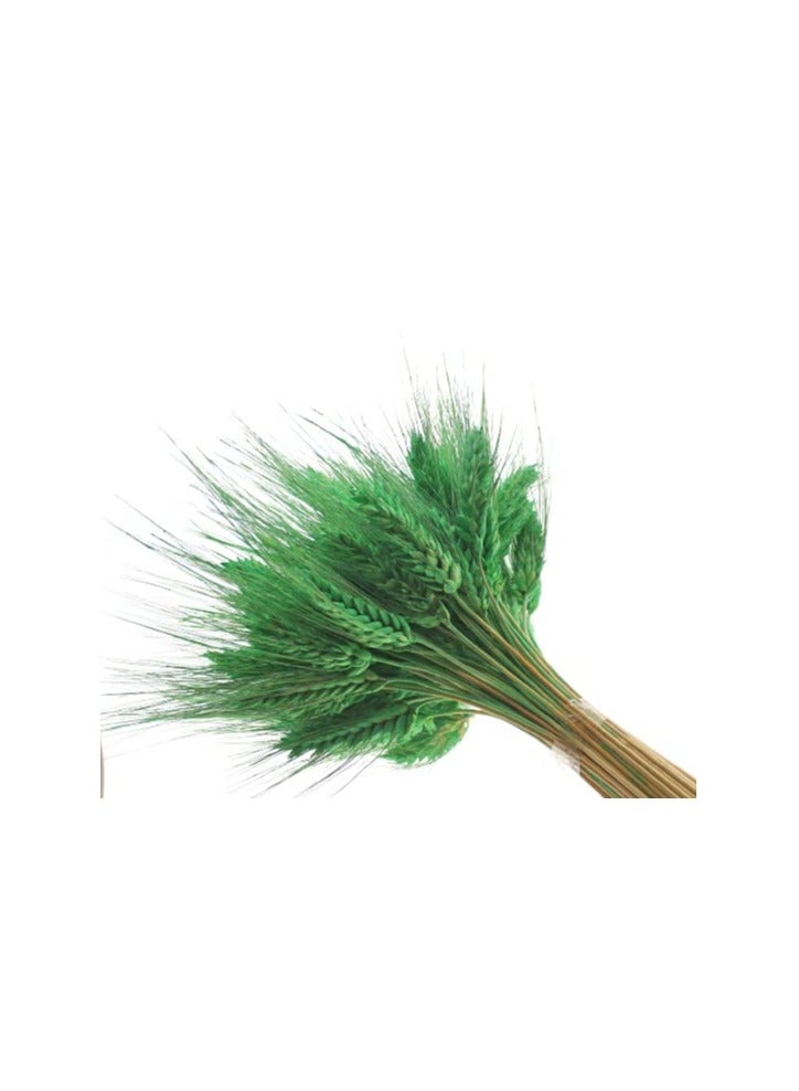 FANCY FLOWERS Dried Wheat Flowers Sheaves Grass Artificial Bouquet Bundle (Green, 200 Pieces) - Image 2