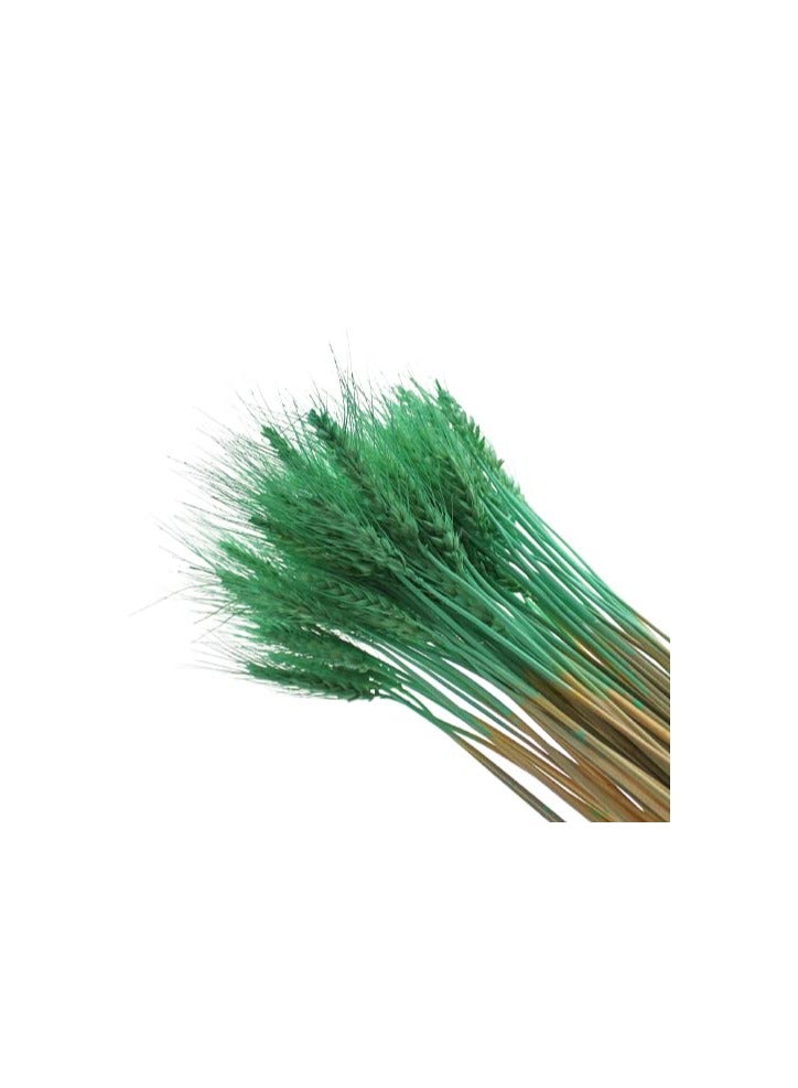 FANCY FLOWERS Dried Wheat Flowers Sheaves Grass Artificial Bouquet Bundle (Green, 200 Pieces) - Image 3