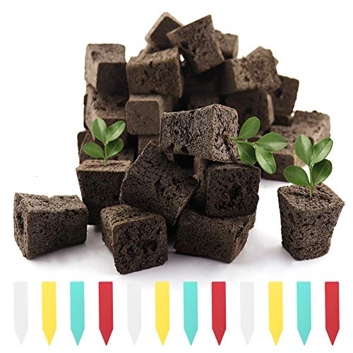 YBB 50 Pcs Seed Starter Plugs, Rapid Root Plugs Organic Plant Starters Sponges Hydroponics Supplies with 60 Pcs Labels - Image 1