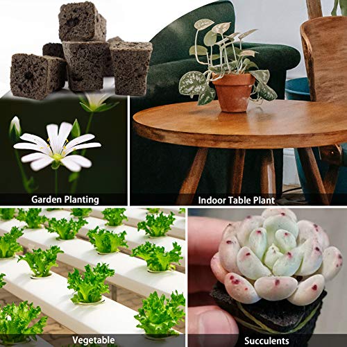 YBB 50 Pcs Seed Starter Plugs, Rapid Root Plugs Organic Plant Starters Sponges Hydroponics Supplies with 60 Pcs Labels - Image 4