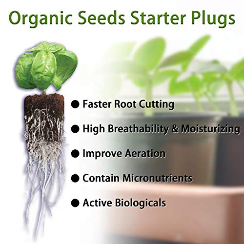 YBB 50 Pcs Seed Starter Plugs, Rapid Root Plugs Organic Plant Starters Sponges Hydroponics Supplies with 60 Pcs Labels - Image 2