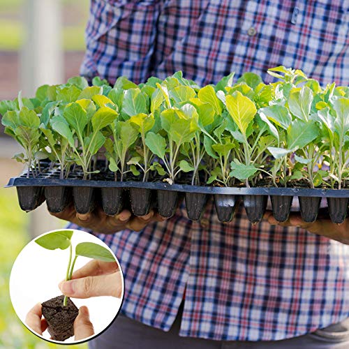 YBB 50 Pcs Seed Starter Plugs, Rapid Root Plugs Organic Plant Starters Sponges Hydroponics Supplies with 60 Pcs Labels - Image 5