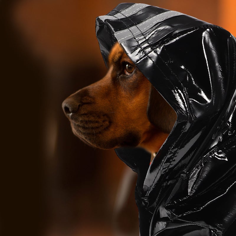 Dog Rain Coat Reusable Dog Rain Jacket Folding Dog Raincoat Reflective Rain Raincoat - Image 3