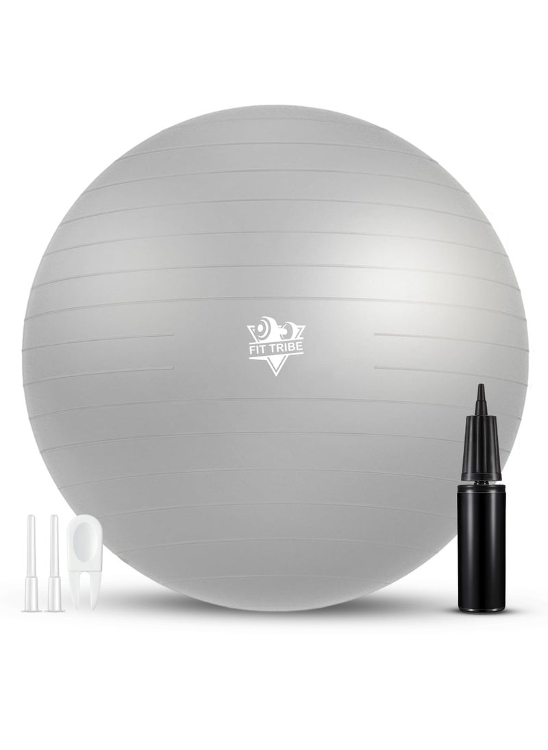 Yoga Ball with Air Pump - Anti-Burst, Slip-Resistant Exercise Ball for Gym Pilates, Balance Training, Stability, and Pregnancy - Supports 500KG, Fitness Gym Equipment (Grey) - pzsku/ZFB97A21EA6B7208E8246Z/45/_/1735205904/3f418819-0d4c-4823-a698-5121cfa4dc3f