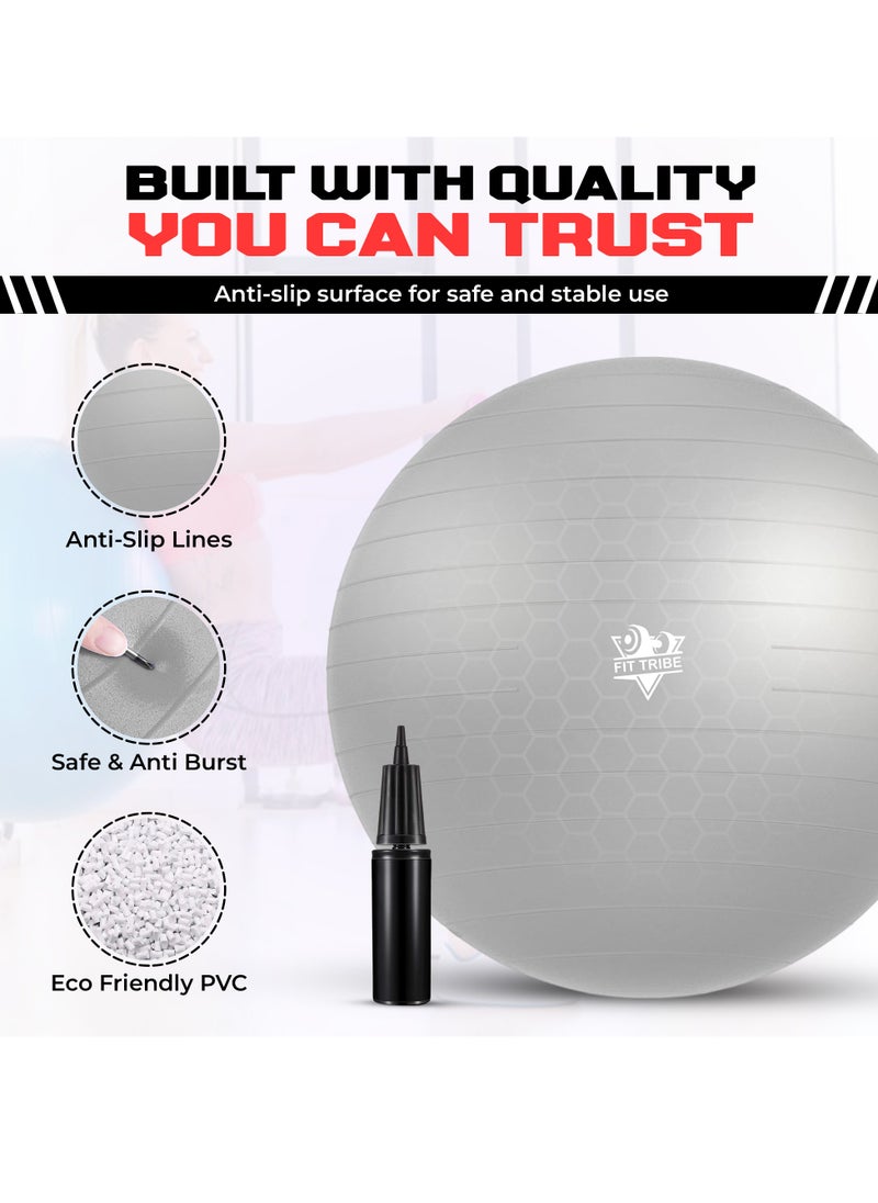 Yoga Ball with Air Pump - Anti-Burst, Slip-Resistant Exercise Ball for Gym Pilates, Balance Training, Stability, and Pregnancy - Supports 500KG, Fitness Gym Equipment (Grey) - pzsku/ZFB97A21EA6B7208E8246Z/45/_/1735205965/6fdf5df9-9900-4670-a9b2-cdff7faa1c5a