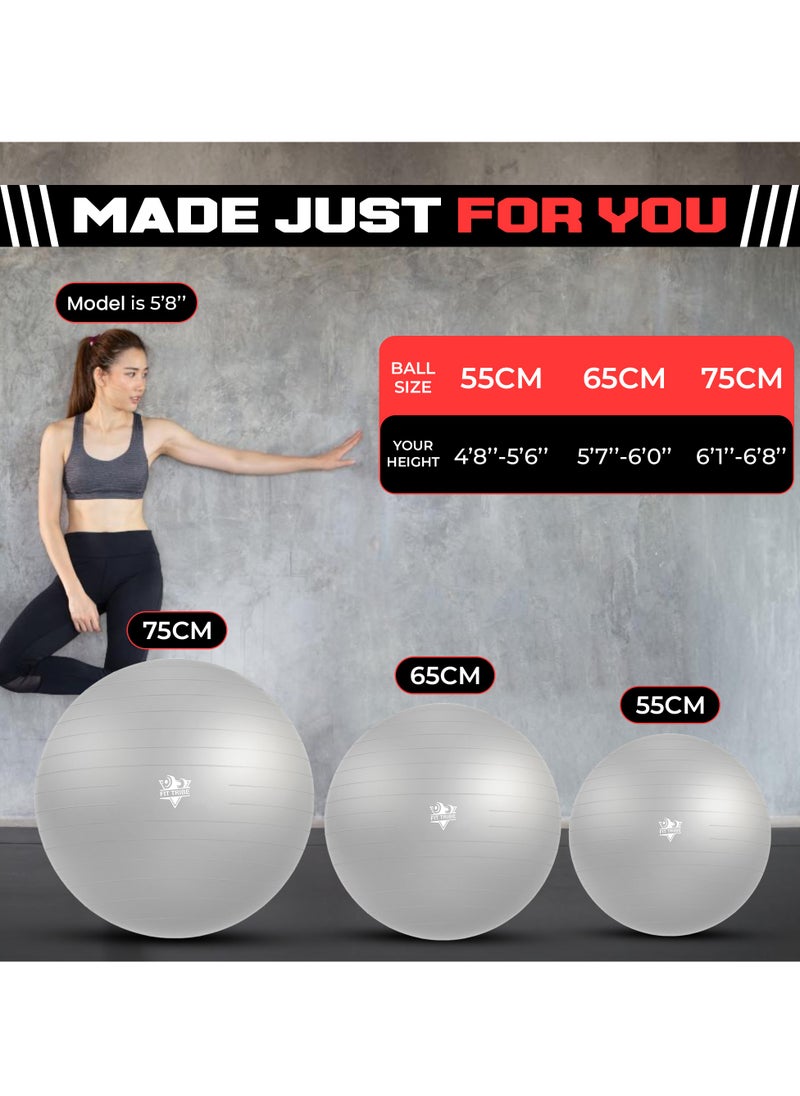 Yoga Ball with Air Pump - Anti-Burst, Slip-Resistant Exercise Ball for Gym Pilates, Balance Training, Stability, and Pregnancy - Supports 500KG, Fitness Gym Equipment (Grey) - pzsku/ZFB97A21EA6B7208E8246Z/45/_/1735206036/23c8c18b-ae8c-4d77-95f0-7c5dfe912f05