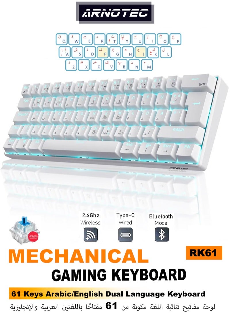 ARNOTEC RK61 Mechanical Keyboard 61 Keys Arabic/English Dual Language, Blue Backlight, Blue Switch Tablet Mobile Office Gaming Keyboard - Image 1
