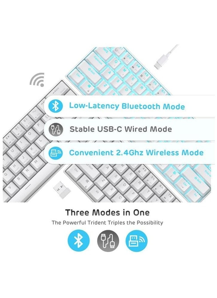 RK61 61-مفتاح إضاءة خلفية بيضاء بلوتوث/2.4G لاسلكي/USB سلكي ثلاثة أوضاع كمبيوتر لوحي لوحة مفاتيح ألعاب مكتبية متنقلة - pzsku/ZFB97D6FE8F2C10EC3A0FZ/45/_/1719376667/4237a87a-8384-41cf-aa1c-67d7cf6fc0cf