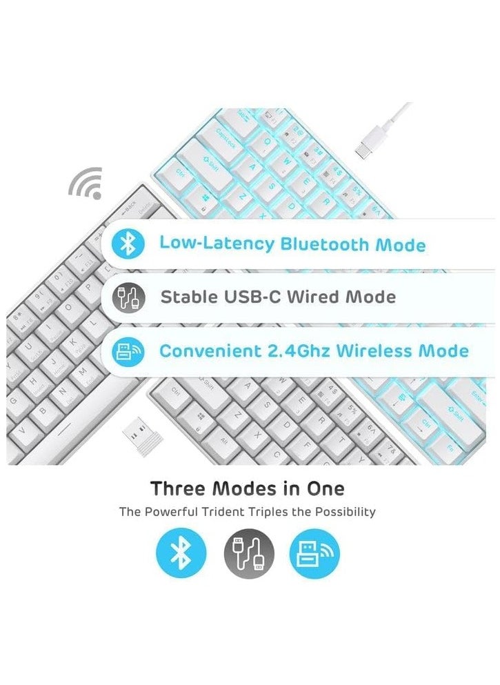ARNOTEC - RK61 Mechanical Keyboard 61 Keys Arabic/English Dual Language, Blue Backlight, Blue Switch Tablet Mobile Office Gaming Keyboard - Image 1