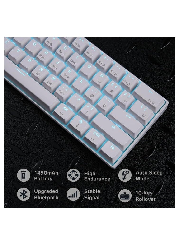 ARNOTEC - RK61 Mechanical Keyboard 61 Keys Arabic/English Dual Language, Blue Backlight, Blue Switch Tablet Mobile Office Gaming Keyboard - Image 1