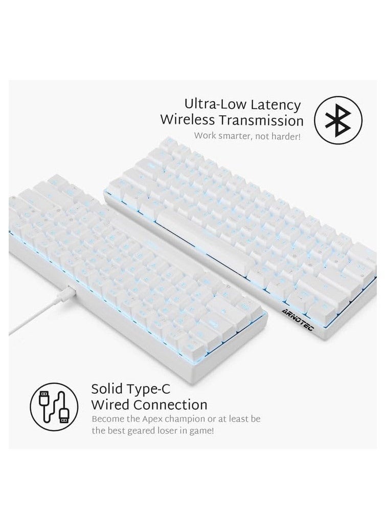 ARNOTEC - RK61 Mechanical Keyboard 61 Keys Arabic/English Dual Language, Blue Backlight, Blue Switch Tablet Mobile Office Gaming Keyboard - Image 1