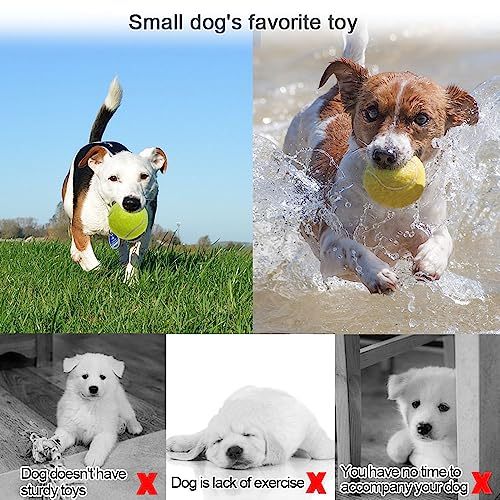 Swity Home Tennis Balls, 24 Pack Tennis Training Balls for Adults Lessons, Practice or Playing with Pet (Regular Color) - Image 4