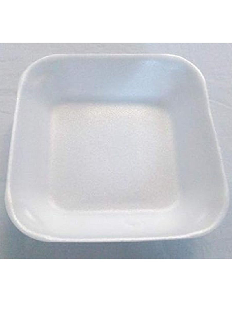 Disposable Foam Dishes 100 Pieces 