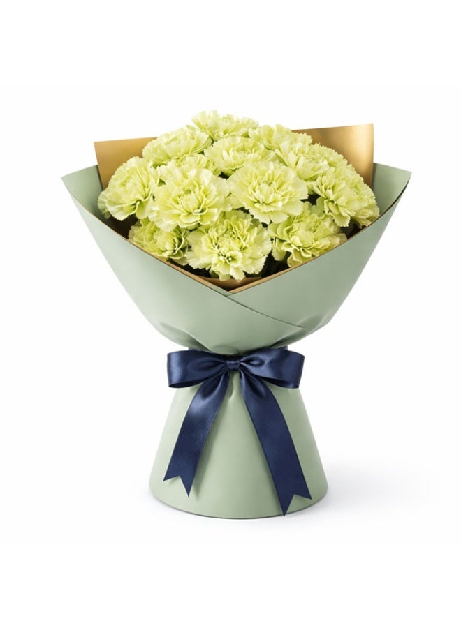 Carnations, Green - 20 stems - 70cm, Colombia