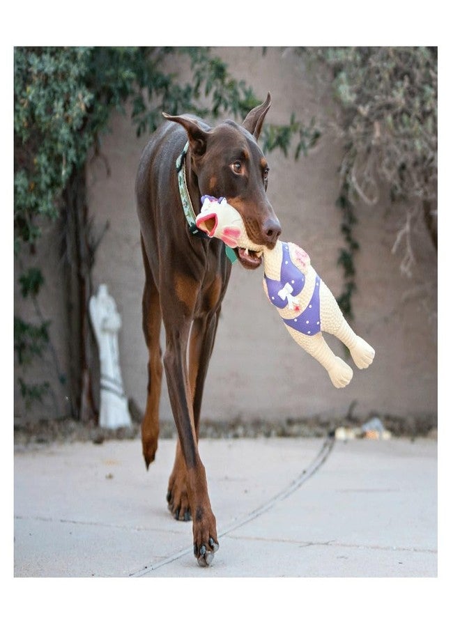 PUREPET 12 Inch Large Rubber Chicken Dog and Pet Toy Classic Henrietta or Earl in Beach Wear Latex Squawkers (12 Inch Henrietta) - Image 2