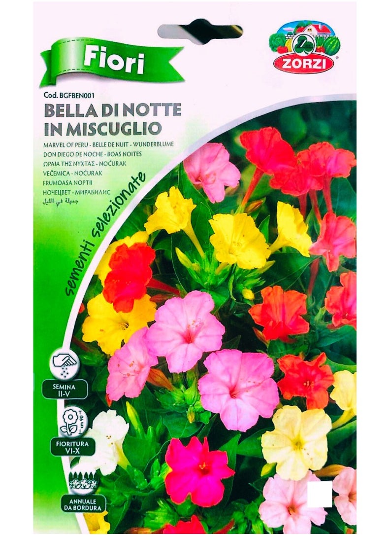 ZORZI - Bella di NOTTE Mix (Marvel of Peru) Seeds - Image 1