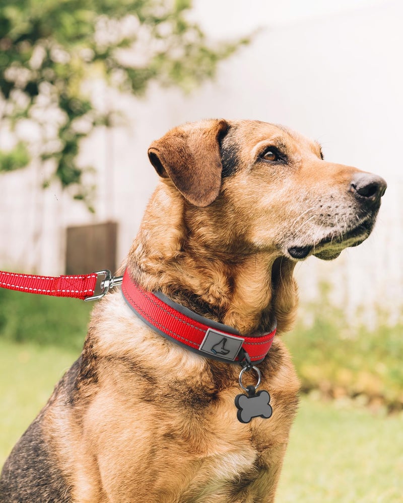 Joytale Dog Collar for Extra Large Dogs, Neoprene Padded and Adjustable, Reflective Wide Heavy Duty Pet Collars with Durable Metal Belt Buckle for Walking, Red, XL - Image 3