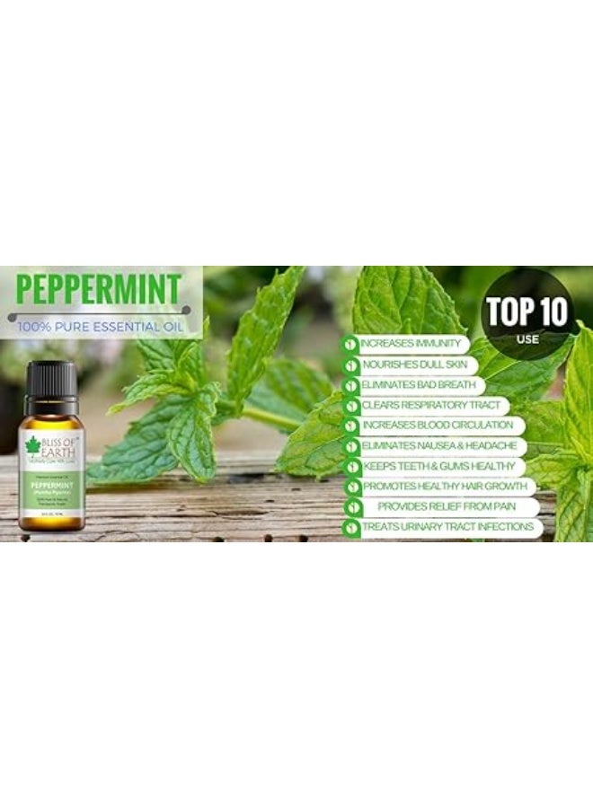 BLISS OF EARTH Peppermint Essential Oil 2x10ml - Image 2