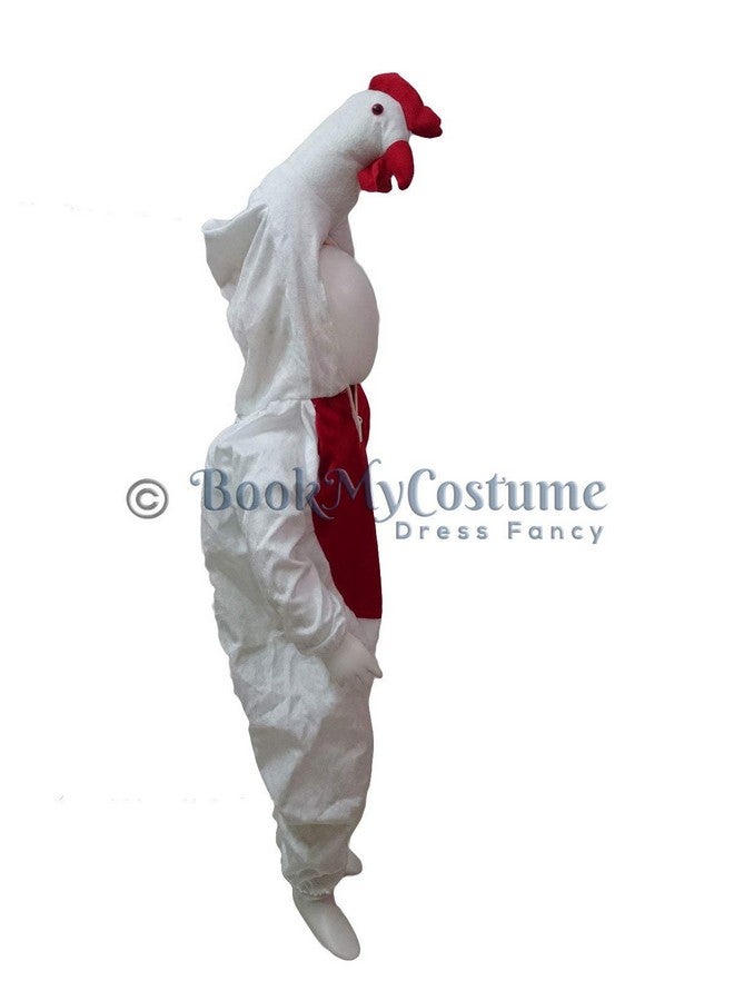 بوك ماي كوستيوم زي تنكري للأطفال من BookMyCostume على شكل دجاجة وطائر من عمر سنتين إلى ثلاث سنوات - Image 2