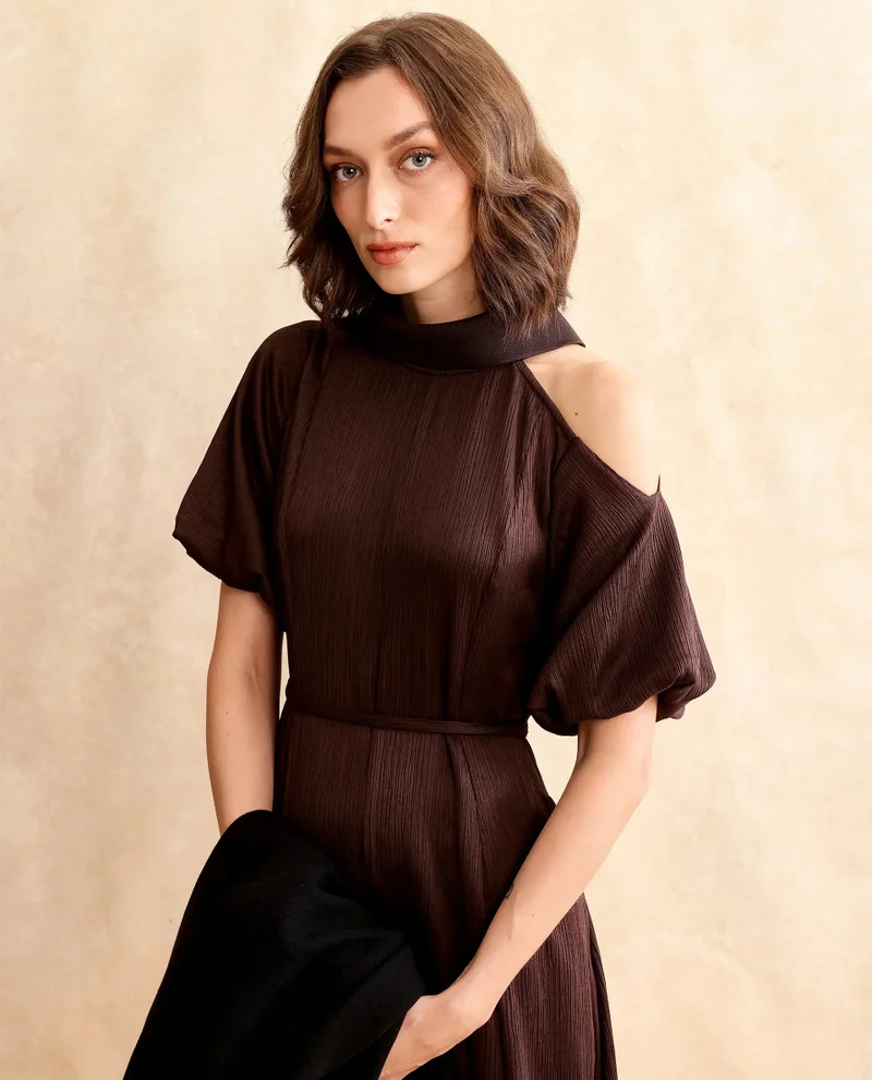 Rareism Rareism Women Duchy Brown Balloon Sleeve Turtle Neck Zipper Closure Flared Midi Plain Dress