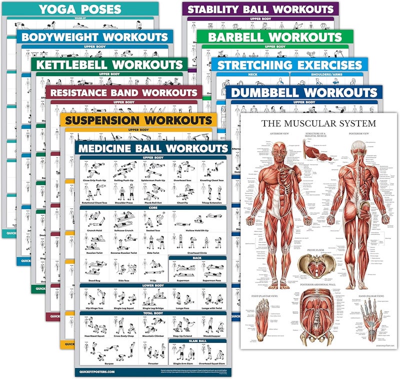Palace Learning 11 Pack - Exercise Poster Set, Dumbbell, Suspension, Kettlebell, Resistance Bands, Stretching, Bodyweight, Barbell, Yoga, Exercise Ball, Muscular System, Medicine Ball (LAMINATED, 18" x 24") - Image 1