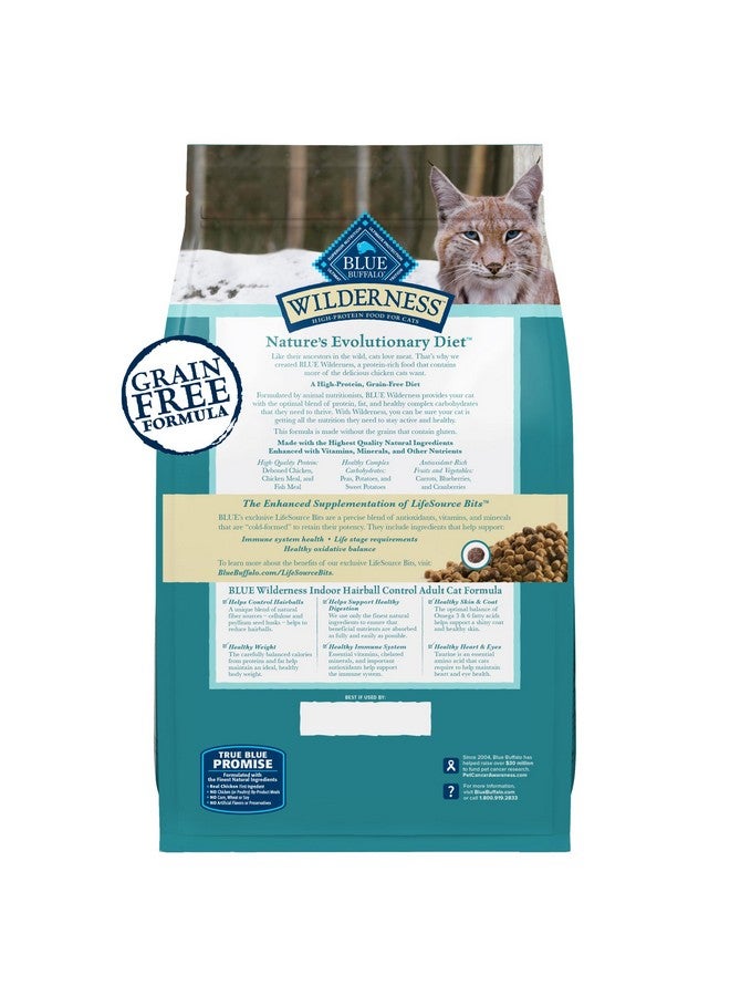 بلو بافلو طعام جاف للقطط من بلو بافالو وايلدرنس للعناية بكرات الشعر الطبيعية، غني بالبروتين وخالي من الحبوب، دجاج، كيس ٥ أرطال - Image 1