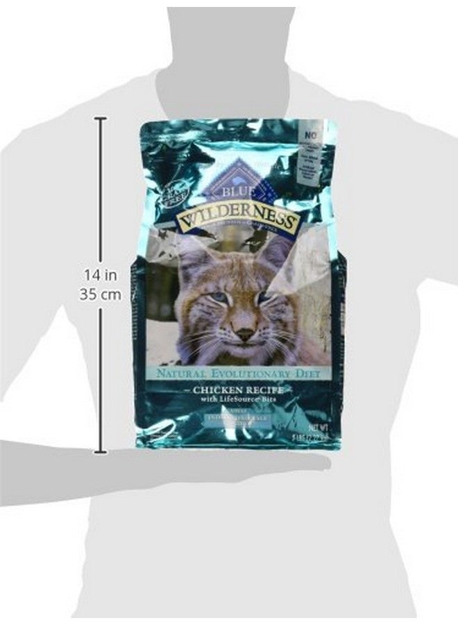 بلو بافلو طعام جاف للقطط من بلو بافالو وايلدرنس للعناية بكرات الشعر الطبيعية، غني بالبروتين وخالي من الحبوب، دجاج، كيس ٥ أرطال - Image 2