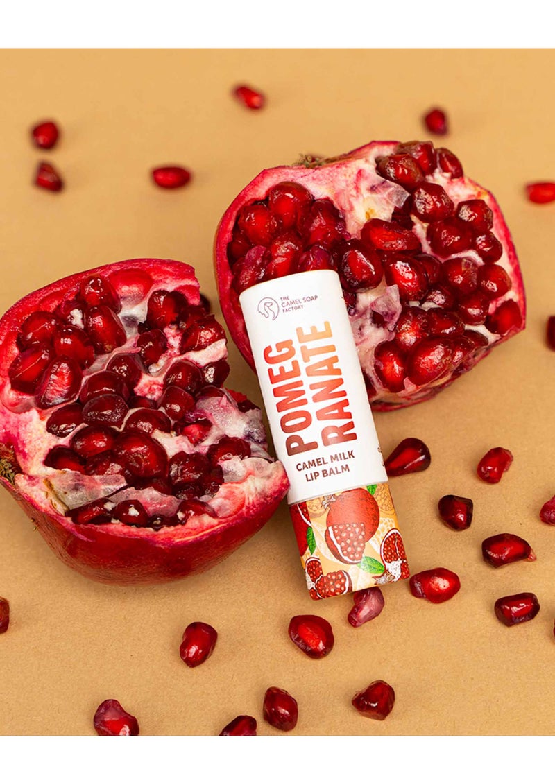 ذا كاميل سوب فاكتور Pomegranate Lip Balm With Camel Milk  - Image 3