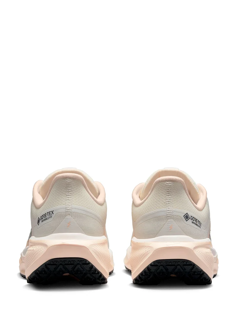 Nike Air Zm Pegasus 41 Gtx