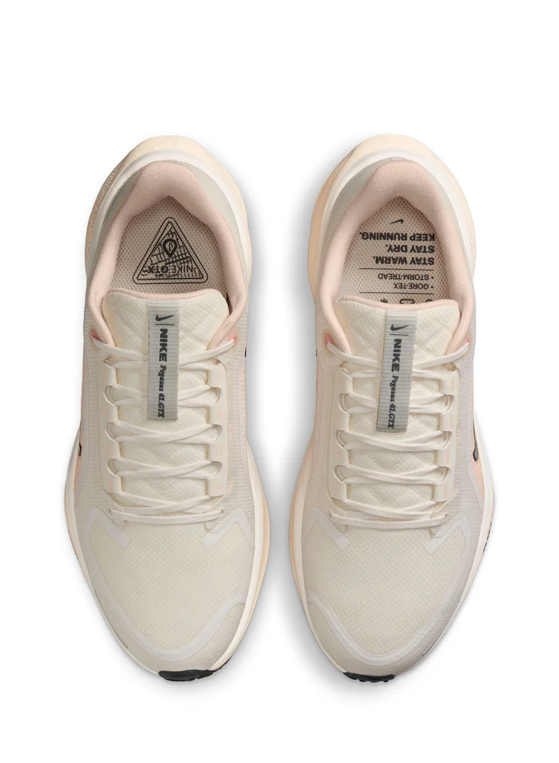 Nike Air Zm Pegasus 41 Gtx