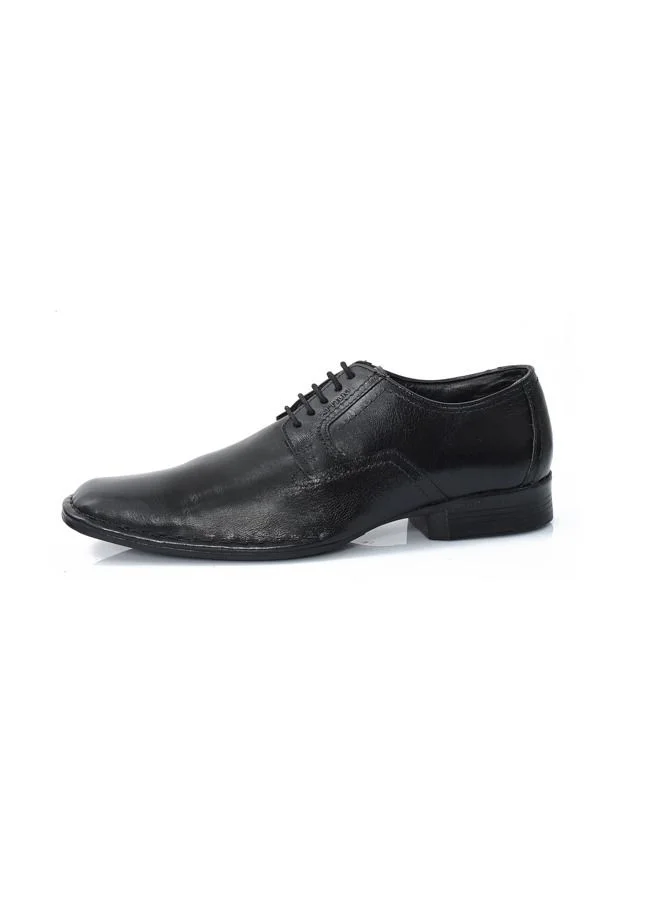 ATTILIO Men's Robert Woo 19 Oxford Derby Lace up Comfort Black Leather Work Office Formal Occasion Party Casual Wear Italian Design Anti Skid Padded Insole Trendy Premium