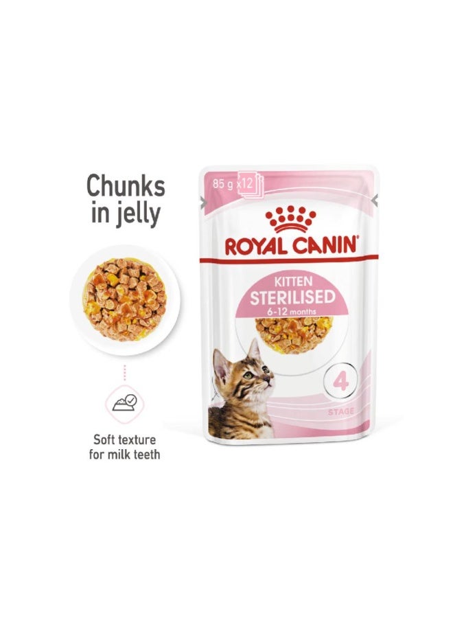 تغذية صحة القطط - جيلي معقم للقطط الصغيرة (طعام رطب - أكياس) ١٢ × ٨٥ جم