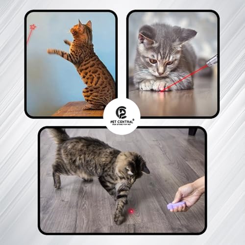 Pet Central Cat Laser Toy for Indoor Cats | 3-in-1 Interactive Laser Pointer | USB Rechargeable | Multi-Pattern Light Modes | Portable Pet Exercise Toy with Health Check Light - Image 5