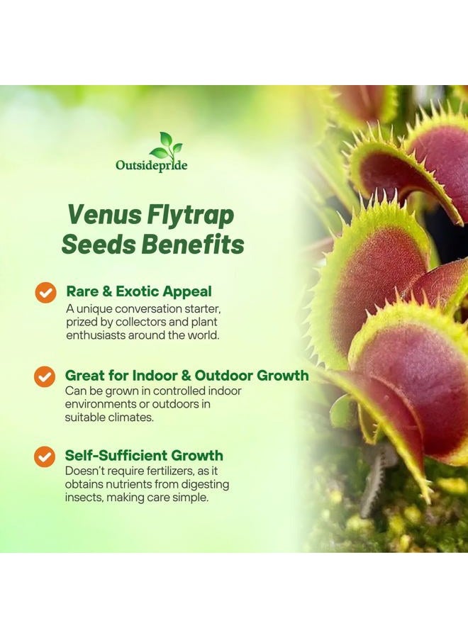 Outsidepride Venus Flytrap Seeds - 10 Pcs Perennial, Unique & Carnivorous, Indoor Plant Seeds for House Plants, Easy to Grow & Low Maintenance, Ideal for Terrariums, Pots, & Non-Winter Hardy Zones - Image 3
