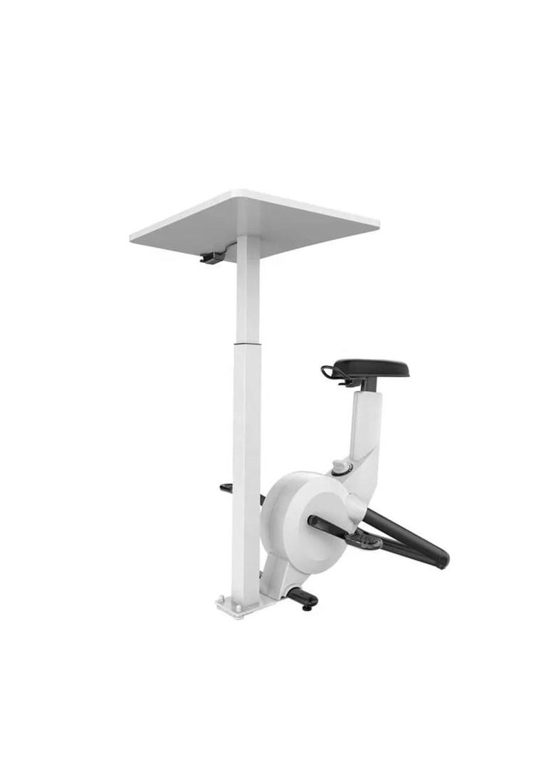 ALCOACH - Bicycle with support for the laptop or for reading - Image 1