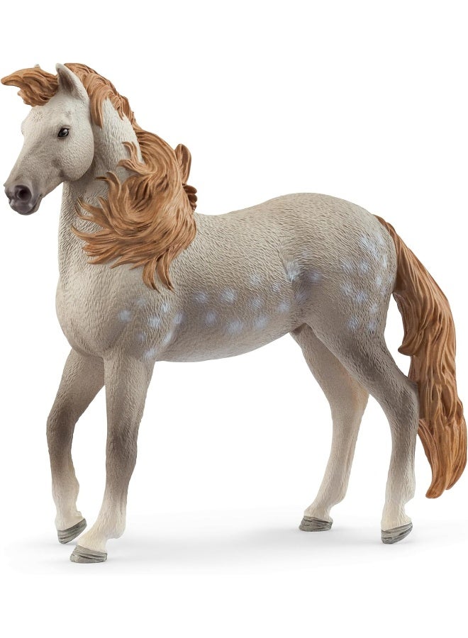 Schleich Horse Club Andalusian Stallion Figure (11.51 X 3.3 X 11.51 Cm, Grey) - Image 1