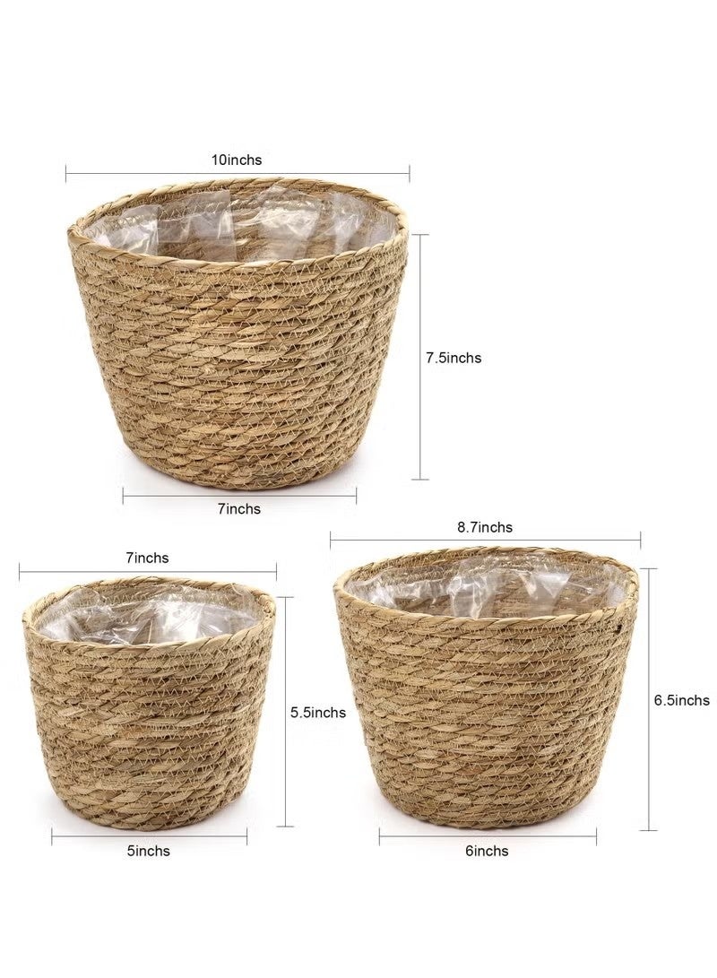 بيت إيزي مجموعة من 3 سلال نباتات، سلال زراعة داخلية منسوجة مع بطانة بلاستيكية، وأواني زخرفية من زهرة الزنبق المائي وقشور الذرة لديكور المنزل الريفي وديكور النباتات على الأرض (اللون الطبيعي - 3) - Image 5