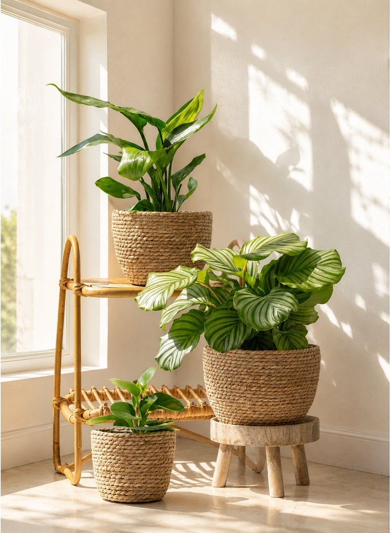 BaytEasy Plant Basket Set of 3, Indoor Woven Planter Baskets with Plastic Liner, Water Hyacinth and Corn Husk Flower Pots for Rustic Home & Floor Plant Decor - Natural Color - Image 4