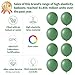 KUULBELA 110Pcs Dark Sage Green Balloons Latex Party Balloons 12 inch Round Helium Balloons for Dark Sage Green Themed Christmas Balloon with 2 Ribbons - Image 4