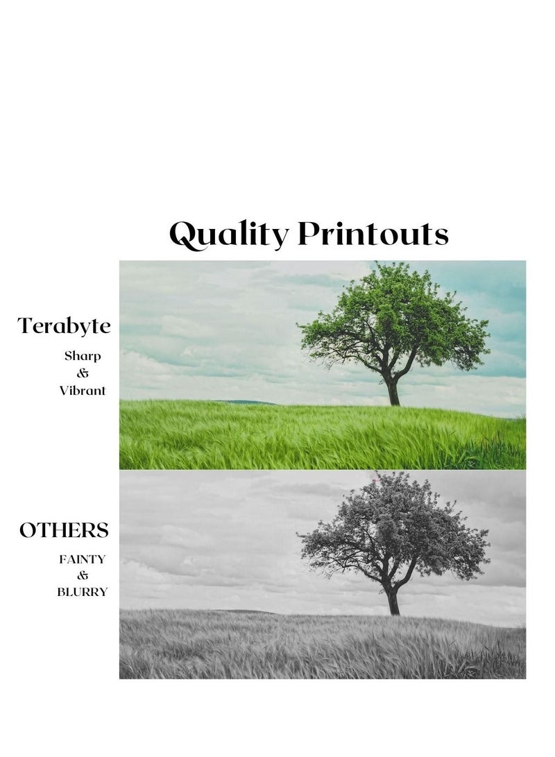 Terabyte DR720/3325/3300 DRUM - Image 2