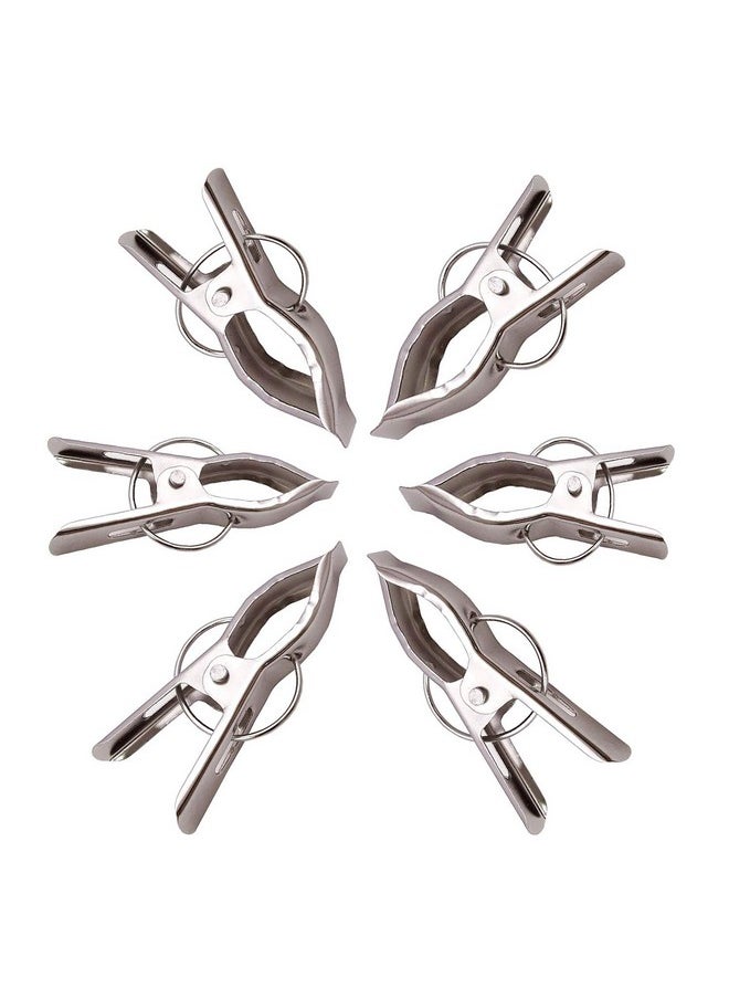 Kuber Industries Kuber Industries 12 Piece Steel Cloth Drying Clip, Silver (CTKTC0342)  - Image 2