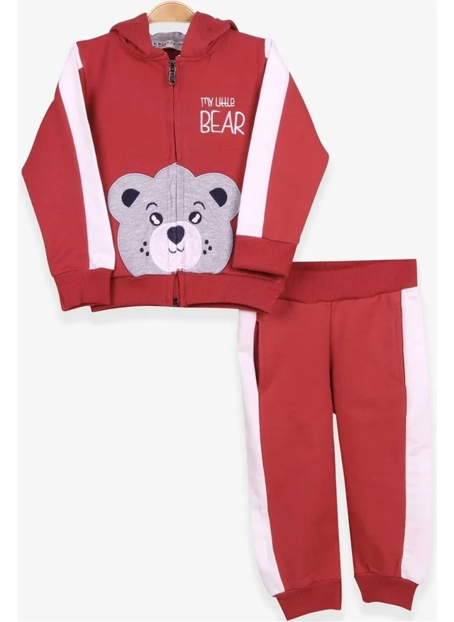 Breeze Boys Tracksuit Set Teddy Bear Printed Tile (1-4 Ages)